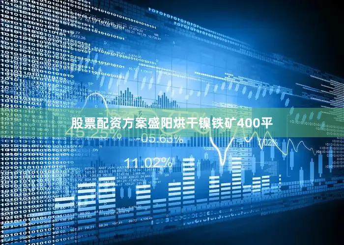 股票配资方案盛阳烘干镍铁矿400平